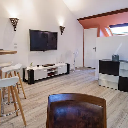 Residence Leclerc - Appartements D'Hotes - Secteur Thermal Nancy Exterior photo